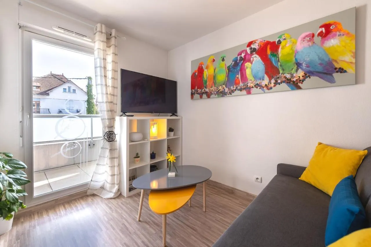 Studio Cosy Les Perruches contacts