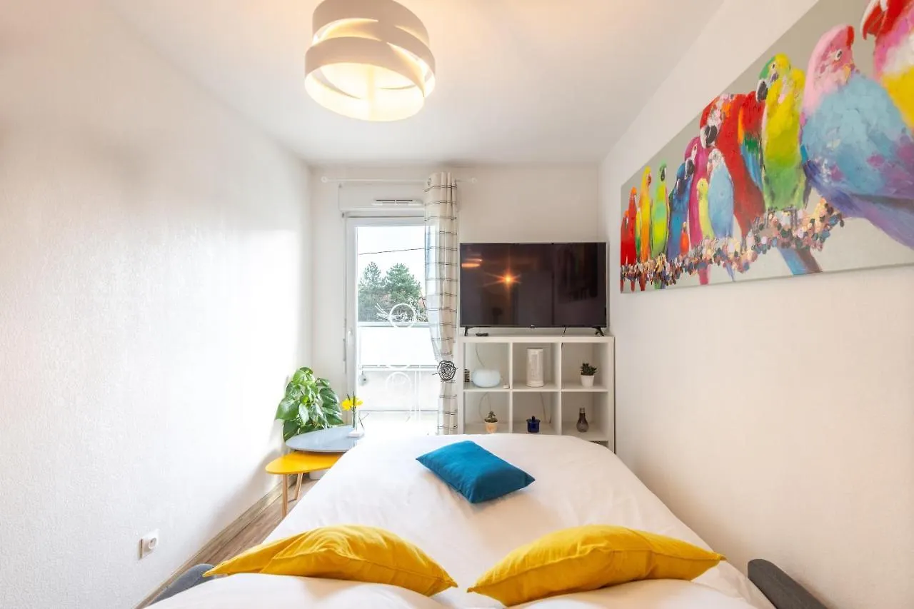 Apartment Studio Cosy Les Perruches Thonon-les-Bains